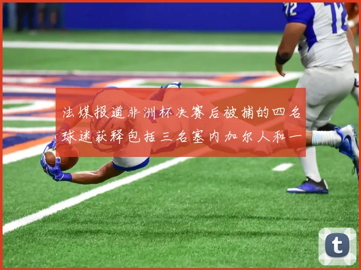 法媒报道非洲杯决赛后被捕的四名球迷获释包括三名塞内加尔人和一名法国人