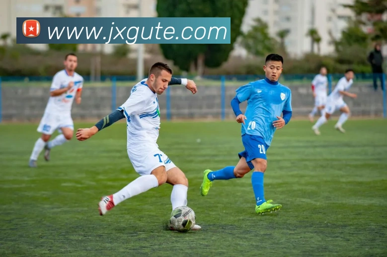 App Interface Preview